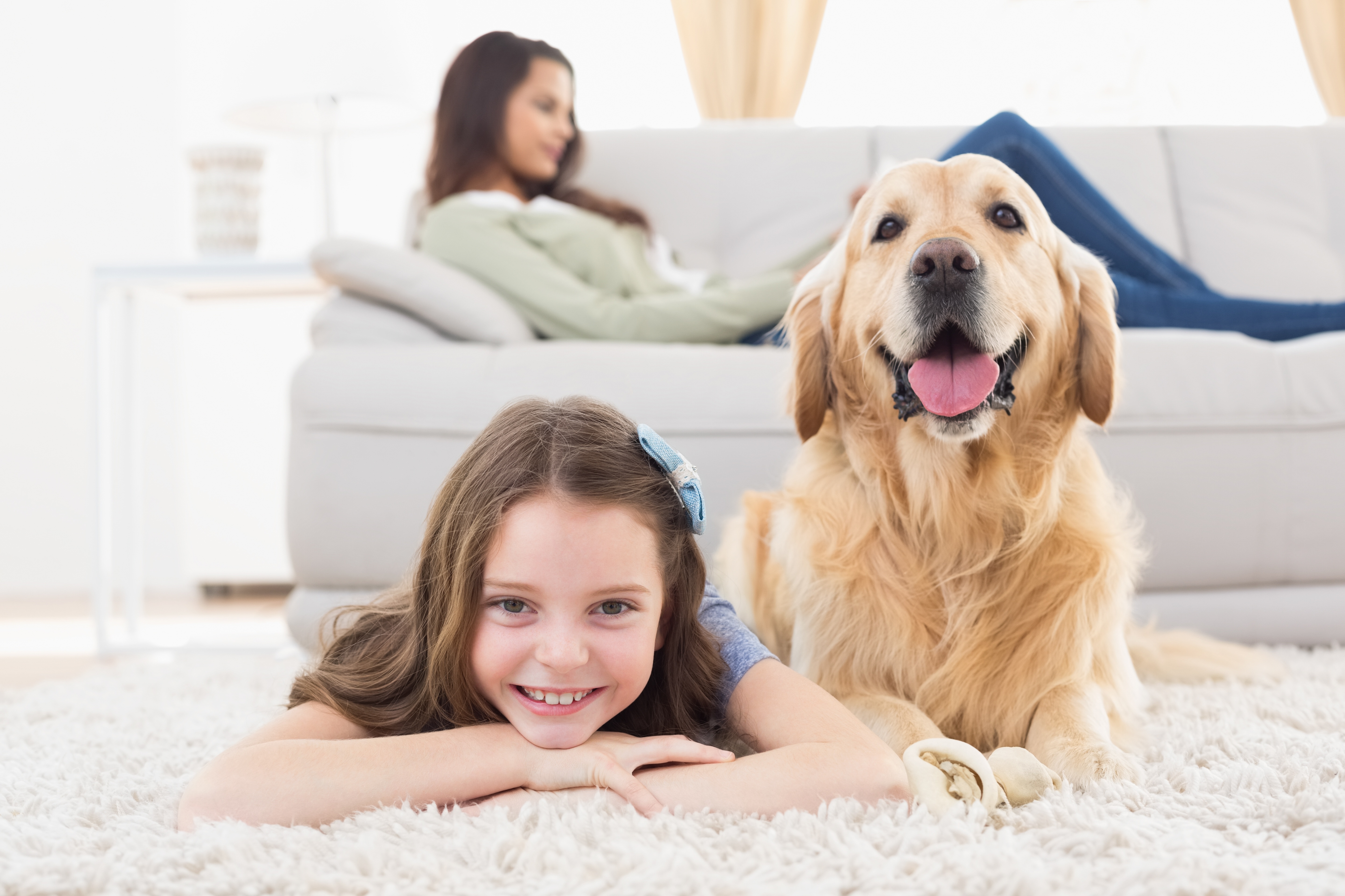 Prepping Your Home for a New Puppy